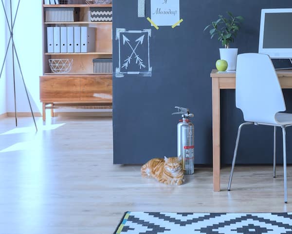 Двухлитровые огнетушители BONTEL